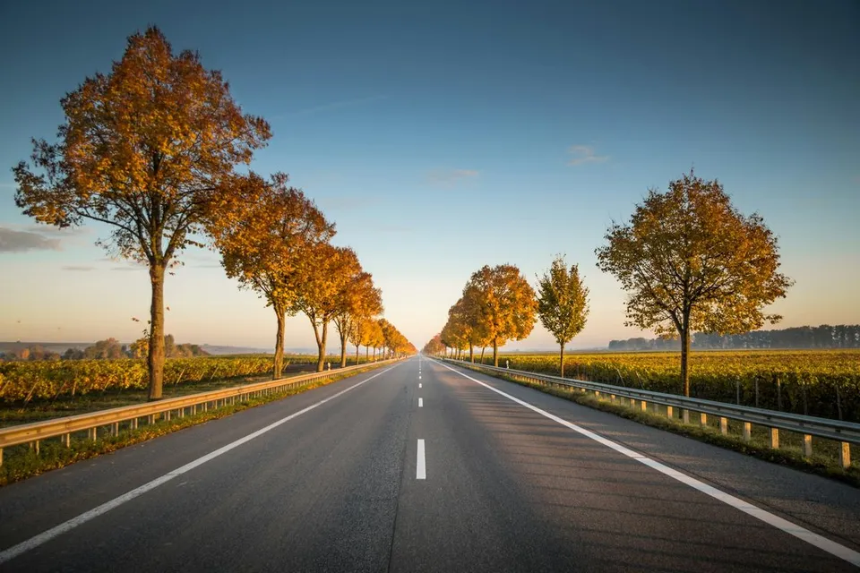 An empty asphalt highway stretches straight into the distance, lined with autumnal trees and agricultural fields under a clear morning sky without vehicles or people.