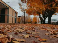Photo by Ashkan Ala on Unsplash